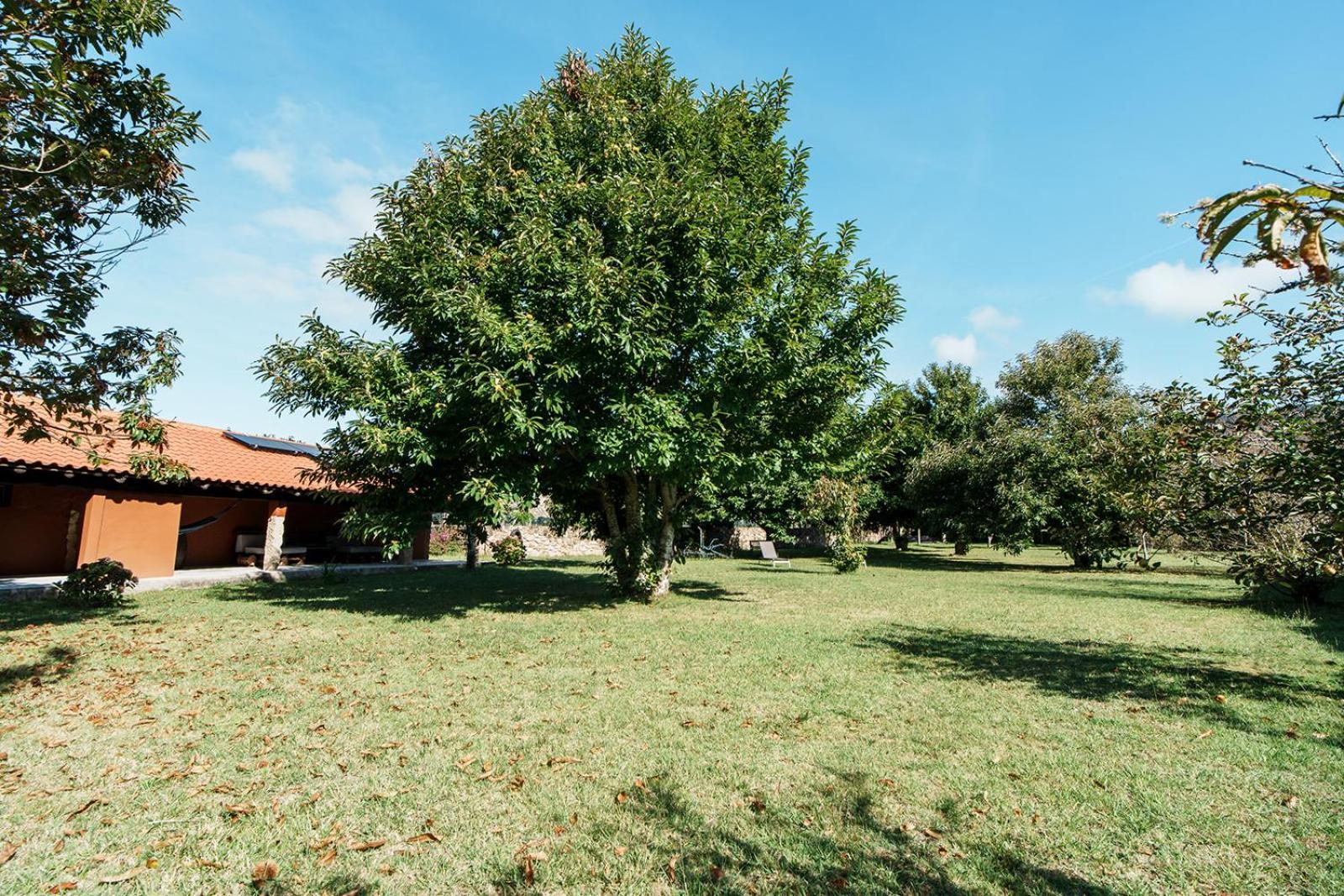 O Fogar Do Carpinteiro Villa Carnota Ngoại thất bức ảnh